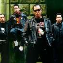 Social Distortion