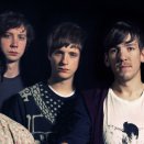 Foals