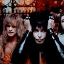 W.A.S.P.