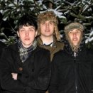 Palma Violets