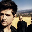 The Script