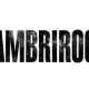 Cambrirock 2010
