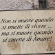 amorens